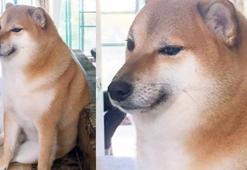 İnternetin sevimli yüzüne elveda...