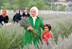 ‘Ekolojik Köy’de lavanta hasadı