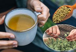 1 tatlı kaşığı bile hafızayı zehir gibi yapıyor! Beyne direkt etki eden mucize baharat