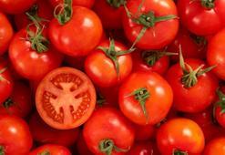 Köylüler domates konservesini böyle yapıyormuş: Yıl boyunca ekşimiyor ve bozulmuyor