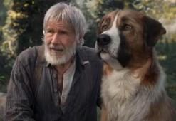 Vahşetin Çağrısı Oyuncu Kadrosu: Vahşetîn Çağrısı (The Call of the Wild) filmi konusu ve oyuncuları...