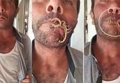 İki akrebi ağzına alıp kendini sokturdu! Sonrası şaşkına çevirdi