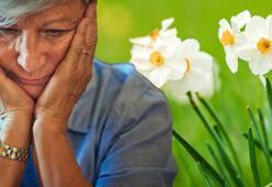 Nergis çiçeğinin duyulmamış faydası! 'Direkt tedavi etmese de ilerlemeyi durduruyor'