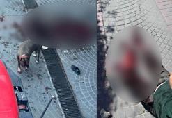 Bakırköy'de pitbull dehşeti! Yaşlı adam kanlar içinde kaldı