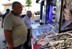 Tezgâhlarda görünmeyen hamsi yerini aldı