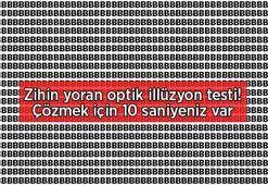 Zeka seviyenizi ölçüyor: Şahin gibi gözlere sahip olanlar buluyor! Bulmak için 10 saniyeniz var