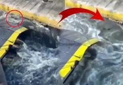Arabalı vapurdan denize attı! Ölüm göz göre göre geldi