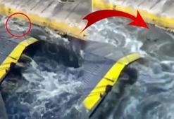 Arabalı vapurdan denize attı! Ölüm göz göre göre geldi