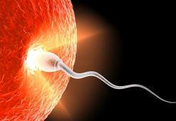 Yapay zeka erkeklerde kısırlık tedavisinde sperm tespitini nasıl 1000 kat hızlandırabilir?