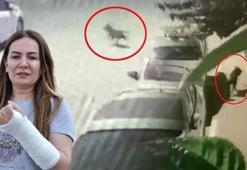 Başıboş pittbull dehşeti! 1 ayda ikinci kez köpek saldırısına uğradı