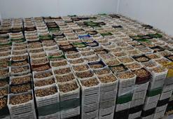 Kuru incir fiyatları değişti