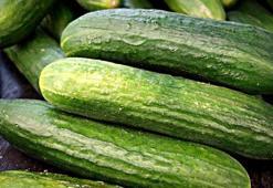 Zaten buruştu deyip sakın çöpe atmayın: Buruşan salatalıkları ilk günkü haline getiriyor