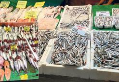 Palamut bolluğu var hamsi 50 liraya indi