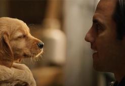 Enzo: Yağmurda Yarış Sanatı filmi gerçek mi, oyuncuları kim? Enzo Yağmurda Yarış Sanatı (The Art of Racing in the Rain) konusu nedir?