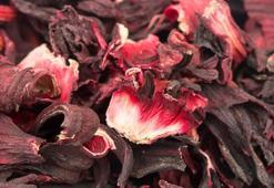 Her cilt tipine faydası var! Hibiskusla botoks etkisi yaratacak 5 ipucu