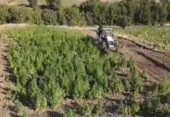 Son dakika: Bakan Yerlikaya 'Onlara nefes aldırmayacağız' diyerek duyurdu! Zehir tacirlerine '2 tonluk' ağır darbe