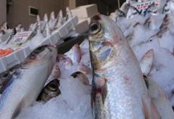 Balık sezonu açıldı, kırmızı ete olan ilgi azaldı