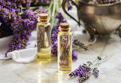 Bir damlası bile yeter! İbn-i Sina'nın önerdiği mis kokulu lavantanın mucizesi