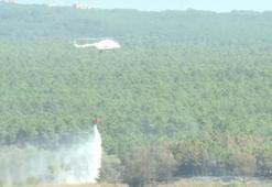 İstanbul'da ormanlık alanda yangın