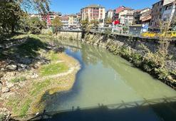 Bartın'daki toplu balık ölümleri sonrası harekete geçildi
