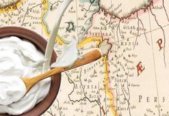 Yoğurt gerçeği: Türkler karıncayla mayaladı! 'Sütten yapıldı ama sütten daha faydalı'