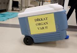 Yeni ciğerle ilk nefes! Bakan Koca, 'organ bağışı'nın önemine dikkat çekti