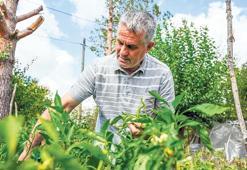 İstanbul’un çiftçileri