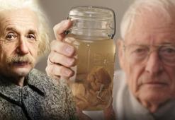 Einstein'ın beynini çaldı, 240 dilime böldü! Böylesi ancak filmlerde yaşanır