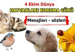 BUGÜN HAYVANLARI KORUMA GÜNÜ! En güzel sözler, mesajlar 2023 🐶🐹🐒🐰 4 Ekim Hayvanları Koruma Günü ile ilgili WhatsApp, Instagram, X üzerinden paylaşabileceğiniz içerikler