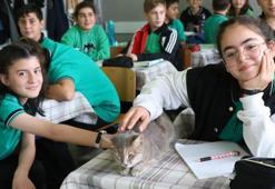 Öğrencilerin sıra arkadaşı Duman! En çok Türkçe dersine katılıyor