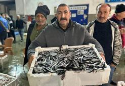 Balık mezadında kasalar dolusu hamsi kapış kapış satıldı