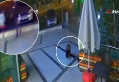 Şehir merkezine inen ayı kafeye daldı! Oğlunu böyle kurtardı