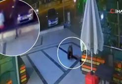 Şehir merkezine inen ayı kafeye daldı! Oğlunu böyle kurtardı