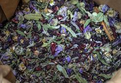 Grip havaları size dokunmasın! Mis gibi melisa çayı hafıza, uyku ve gribi iyileştiriyor