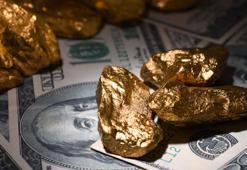 Rusya'nın altın ve döviz rezervleri arttı