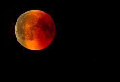 KANLI AY TUTULMASI ne zaman, saat kaçta gerçekleşecek? Kanlı Ay Tutulması nedir, Türkiye'den izlenecek mi? Ay tutulması için geri sayım