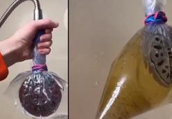 Duş başlığınız mikrop ve hastalık saçıyor olabilir! Komalık eden semptomlara dikkat