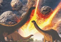 Türk bilim insanları duyurdu: Dinozorlar tozutmuş!