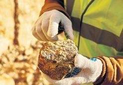 ‘Altın potansiyeli çok nadir element fırsat’