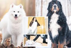 Modayı köpek tüyleri ısıtmaya başladı