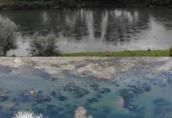 Kızılırmak alarm veriyor! İki fotoğraf arasında sadece 5 ay var