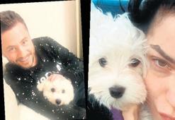 Buluşmayı köpek ortaya çıkardı