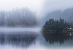 7 yılda bir ortaya çıkan gizemli ada! '2 gün burada kalınca doktor oldu'