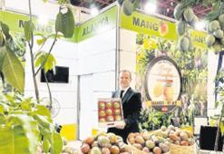 Mango ihracatında ‘milyarlık’ fırsat var
