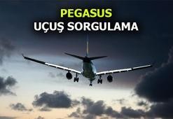 PEGASUS iptal olan uçuşlar var mı? ✈ 29 Kasım bugün PEGASUS'ta seferler iptal oldu mu? İşte uçuş sorgulama linki