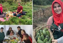 2 dönümle başladı, 5 hektara çıkardı! 'Haftalık avokado satışımız 5-10 bin'