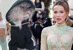 Oyuncu Kate Beckinsale kedisinin külleriyle yatıyor