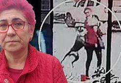 Tekirdağ'da pitbull dehşeti! Hem kadına hem de köpeğine saldırdı