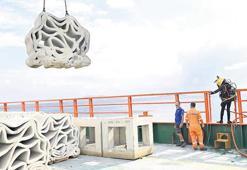 Deniz altında yaşam... Yapay resiflerle canlanacak