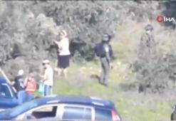 Yahudi yerleşimciler, asker koruması altında Filistinlilerin zeytin ağaçlarını kesti